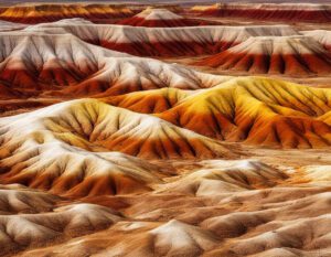 Petrified Forest National Park